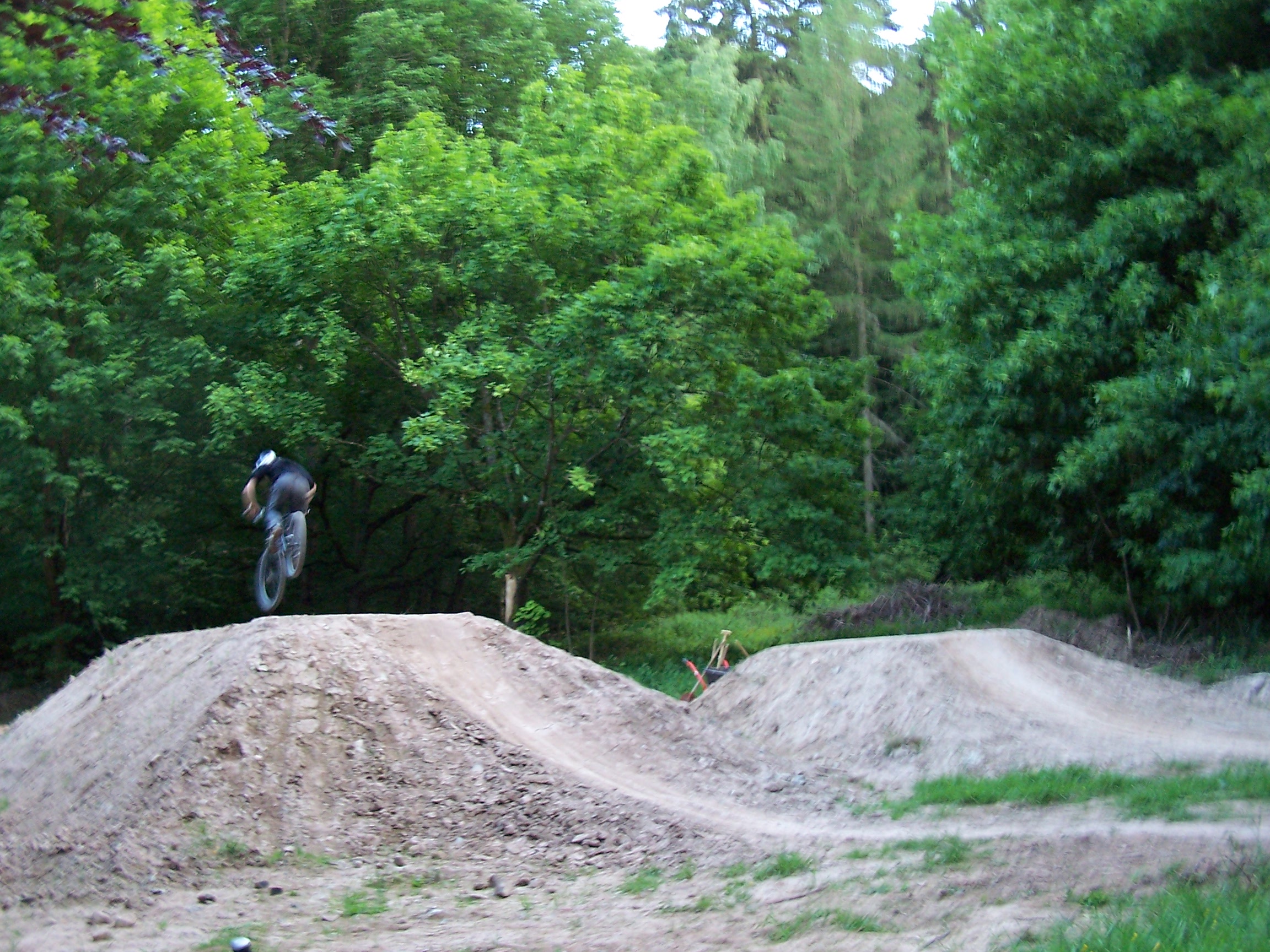 fliegewiese29.mai 049.jpg